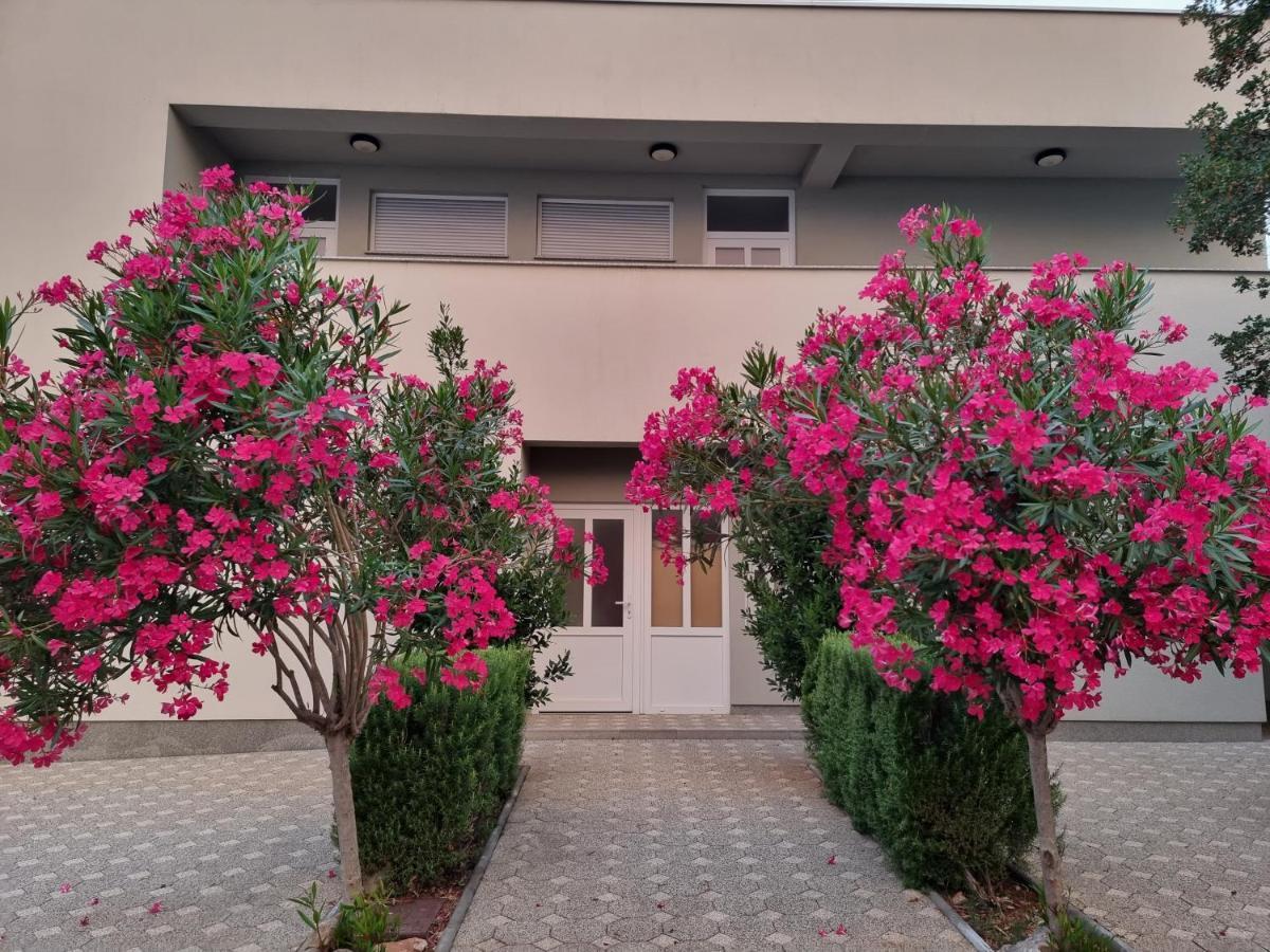 Apartmani Jozic Seline Kültér fotó